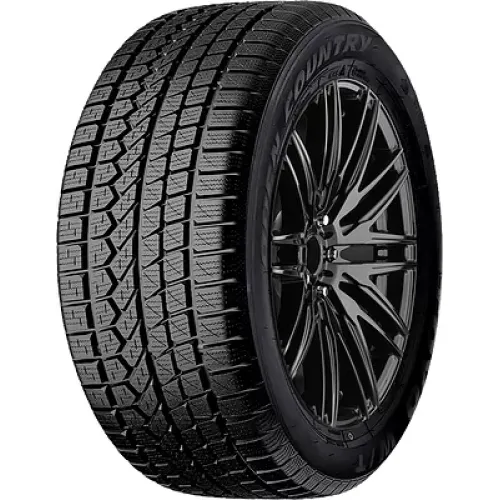 Toyo Open Country W/T 255/50 R19 107V
