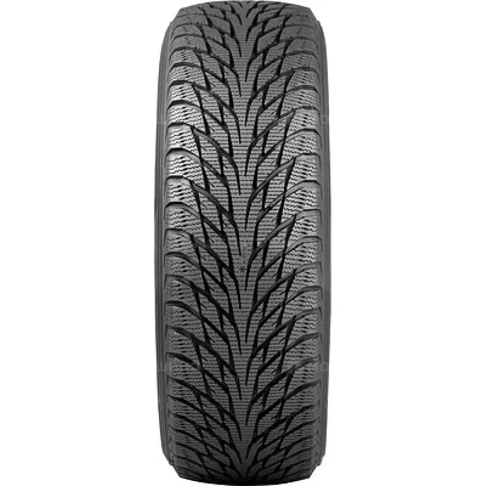 Nokian Hakkapeliitta R2 245/45 R18 100R RF