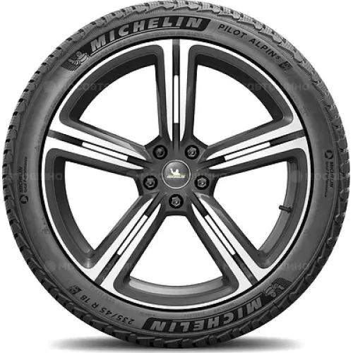 Michelin Pilot Alpin PA5 315/30 R21 105V XL