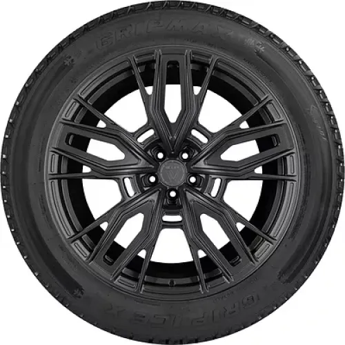 Gripmax Grip Ice X 225/50 R18 99H