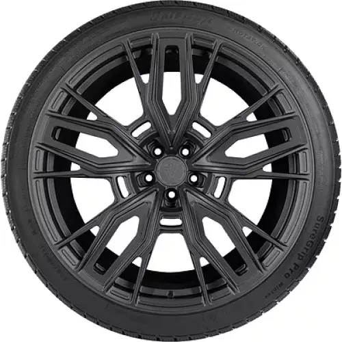 Gripmax SureGrip Pro Winter 285/30 R21 100V