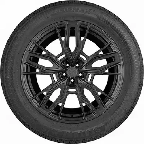 Gripmax Stature M/S 255/50 R20 109V XL