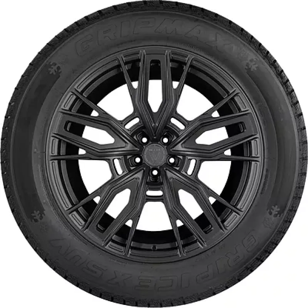 Gripmax Grip Ice X SUV 285/50 R20 116H